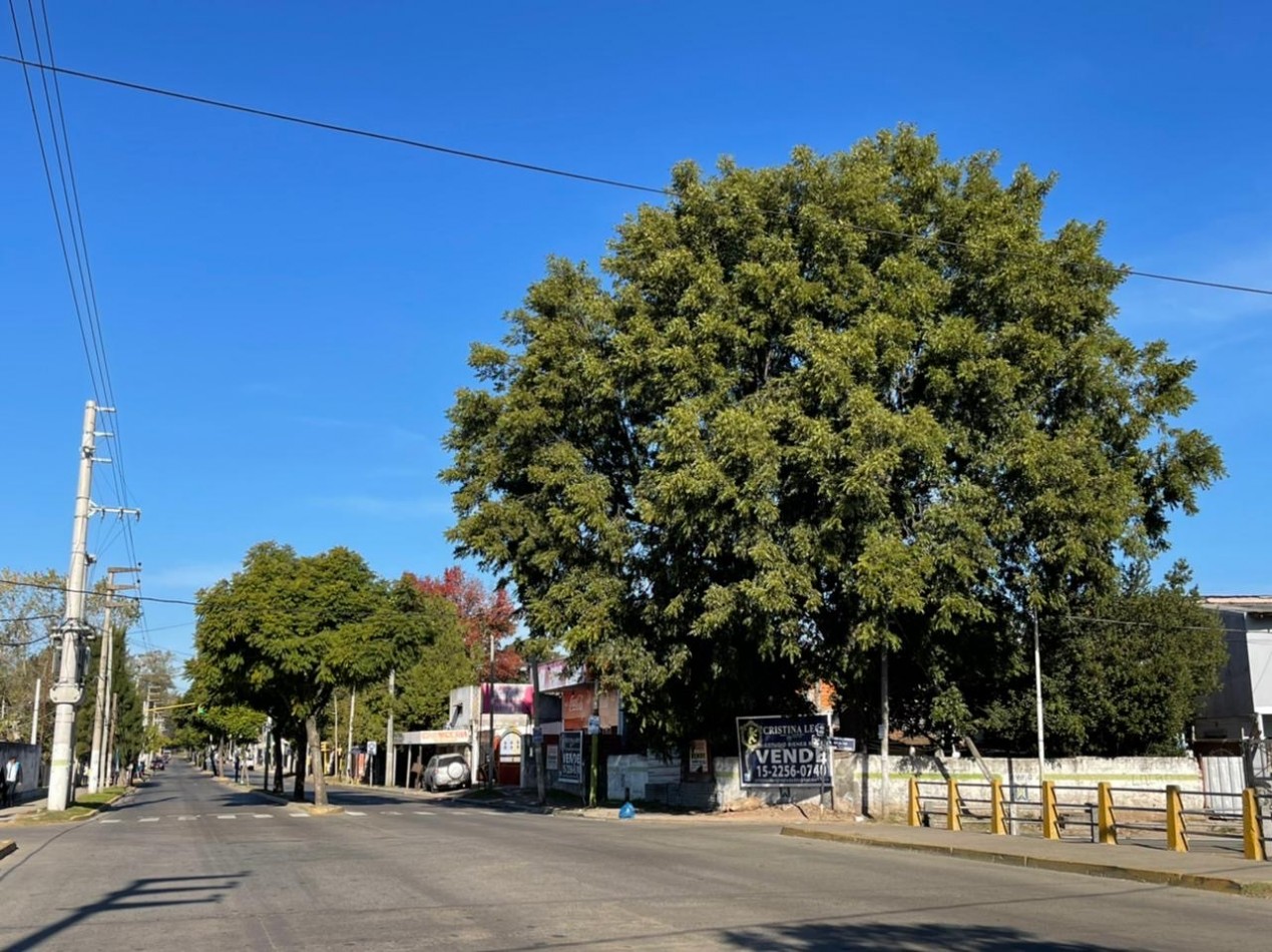 LOTE IMPERDIBLE - SOBRE AVENIDA PRINCIPAL 