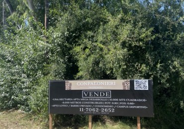 HECTAREA EN PILAR | MEGA DESARROLLO | RUTA 25 Y PANAMERICANA | 8.000MTS CONSTRUIBLES